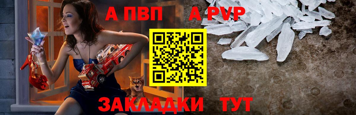 А ПВП СК КРИС  Вход с VPN  Alfa_PVP  Alfa_PVP СК  Альфа ПВП СК КРИС  Малгобек 