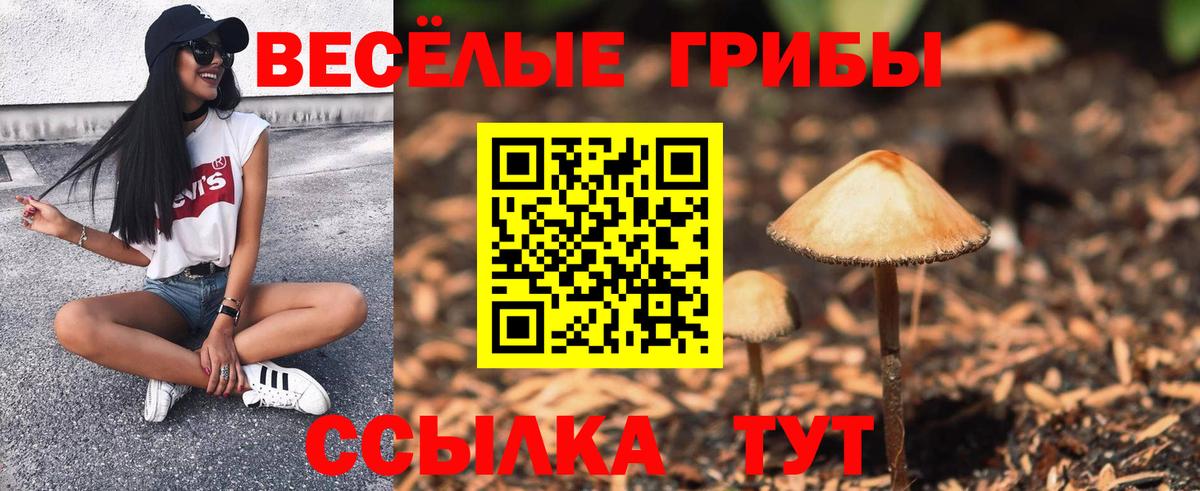 где купить наркоту  Псилоцибиновые грибы мицелий  Вход с VPN  Малгобек  Галлюциногенные грибы мухоморы 